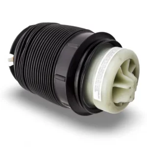 Balona trasera izquierda Mercedes-Benz CLS W218 2010 - 2018