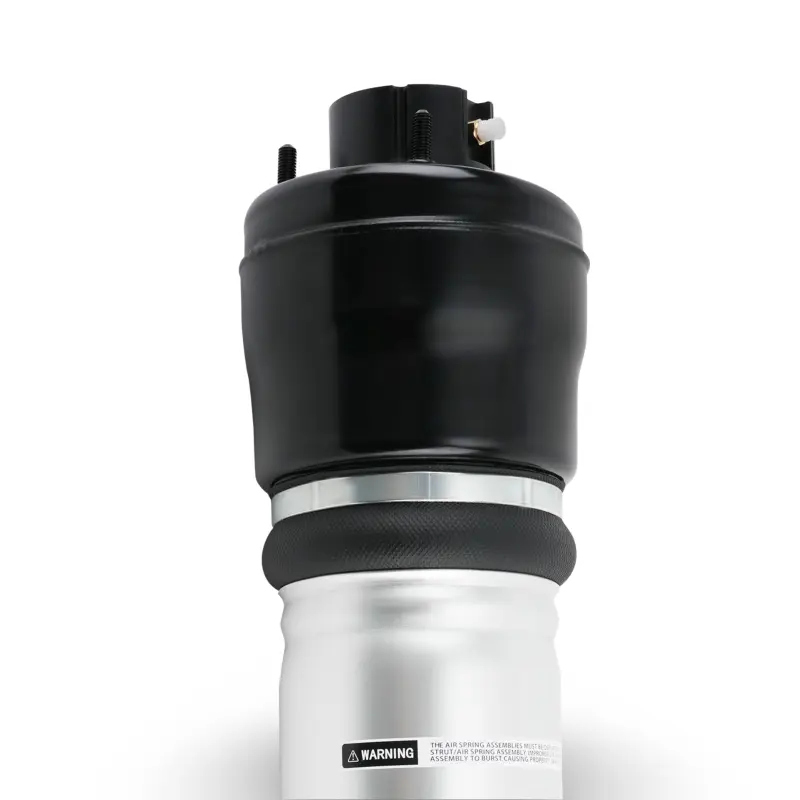 Amortiguador delantero derecho Mercedes-Benz E W211 4Matic 2002 - 2009 - Imagen 8