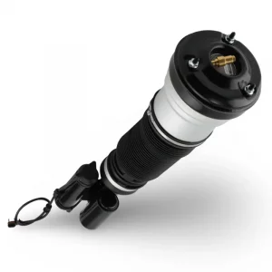 Amortiguador delantero derecho Mercedes-Benz S W220 4Matic 1998 - 2006